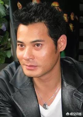 演员中有我最为熟悉的姜皓文,黄智贤和许绍雄(大飞哥)