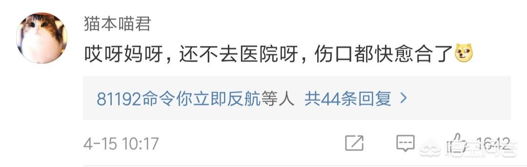 网曝杨紫机场被砸:网曝杨紫机场被砸，理智追星不好吗？