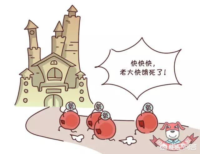 脸黄是什么原因(脸黄是什么原因该怎么调理)