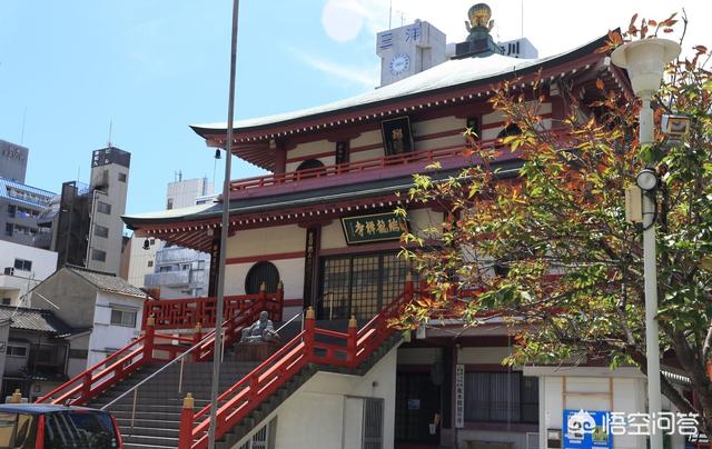 香港真龙生物是真的吗，日本瑞龙寺真龙标本为什么不用DNA鉴定来验证标本的真假