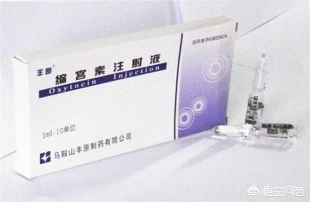 母猪的产后护理abo文案:母猪的产后护理段子的完整内容 在母猪分娩时，到底该不该使用缩宫素？