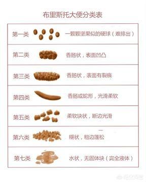 一岁宝宝拉肚子拉的全是黄稀水:一岁多的宝宝拉黄泥便是怎么回事？