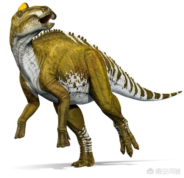 恐龙解谜，恐龙化石被发现后，是根据什么原理进行还原的