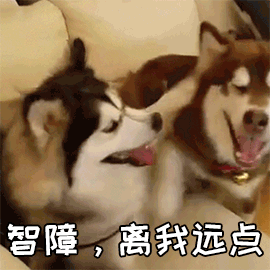 哈士奇图片搞笑:二哈有哪些搞笑的图片表情？