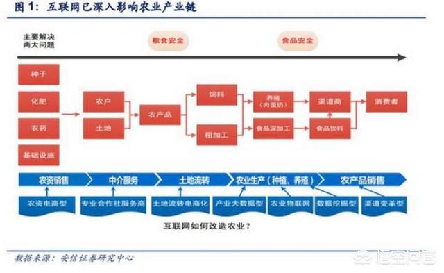 农产品是拼多多的基本盘吗，不走寻常路的拼多多，是如何改变中国农业的