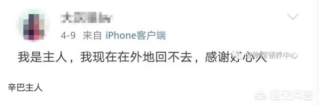 网上再现虐狗事件:如果发现别人虐狗，我们能做什么去帮助狗狗？