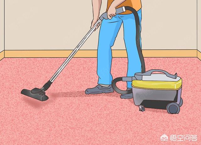 北非沙鼠要多大的笼子:家里养宠物，如何净化空气？