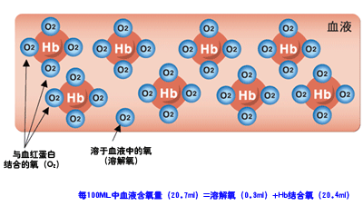 地球上氮气占78%,为什么人类却只能吸收到氧气而生存?