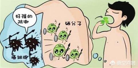人副流感病毒阳性:感染了高危型HPV病毒，并且检查两个都是阳性该怎么办？