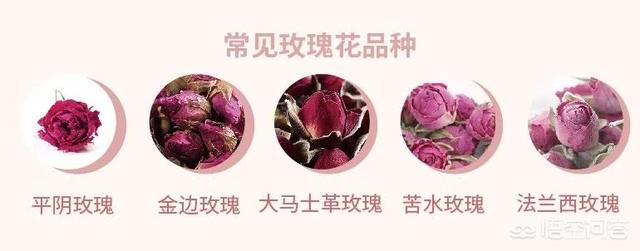 头条问答 怎样选择玫瑰花茶 消费者报道的回答 0赞