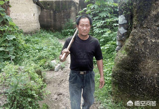 农村人来回答,表叔亲还是堂叔亲？