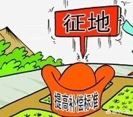 正直爱洁蟹:身边都是很自私的人，究竟是谁的错？