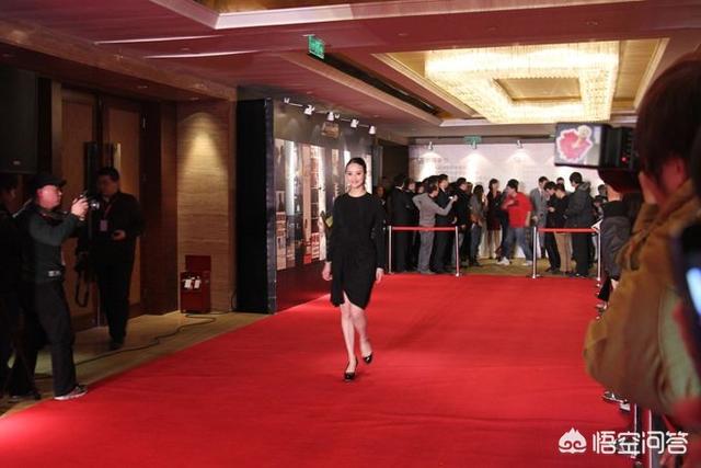 范冰冰戛纳礼服:十八线网红去戛纳蹭红毯影响中国人形象的行为，应该制止吗？
