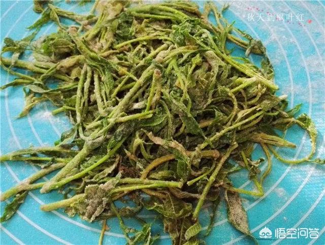 ()新鲜的香椿怎么吃好要注意啥