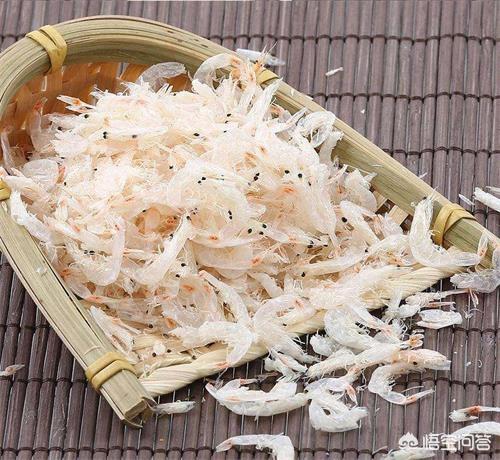 串串狗怎么样:拉布拉多和串串狗哪个聪明？