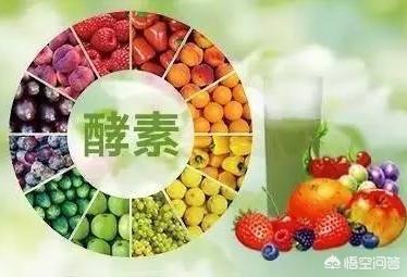 酵素菌生物肥的生产:酵素和菌肥的区别是什么？