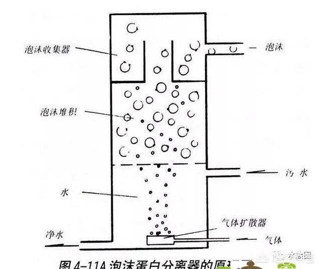 水产蛋白分离机价格:循环水养殖为什么装蛋白分离器？