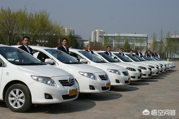 驾照自学自考(自学考驾照怎么报名)