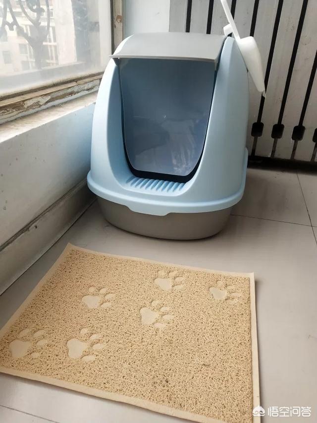 lovecat 植物猫砂:准备养一只猫，猫砂盆方面选择有哪些技巧？如何挑选？