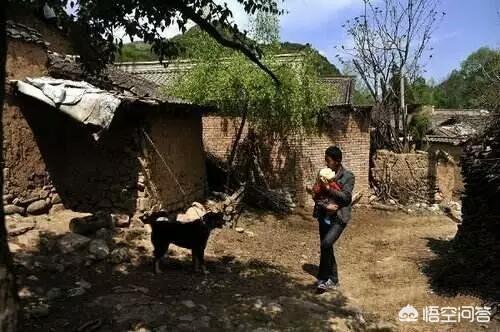 留守妇女与狗视频:农村突现“留守大军”，假寡妇、留守男数量大增，为啥不去打工？ 农村留守狗视频大全