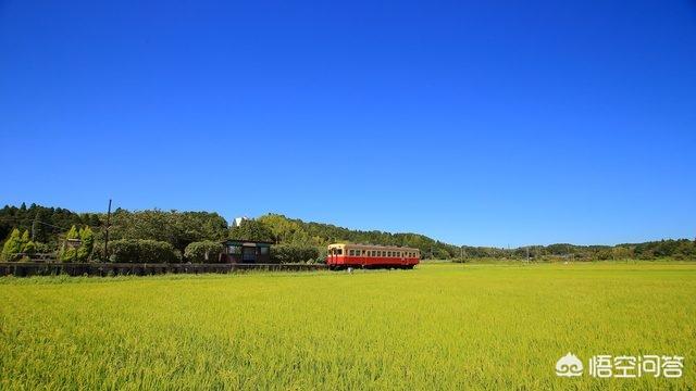 八公像在日本东京涩谷车站:东京周边有哪些小众旅行地？