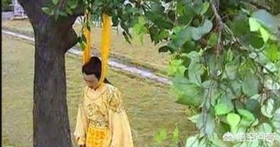 朱由检:明朝最后的皇帝是谁给安放在十三陵的？