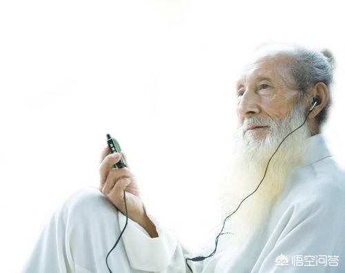犀牛鬣蜥长多大:哪种蜥蜴可以长到一米五需要多少钱买一条小的？