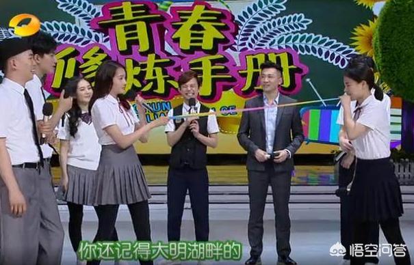 我们相爱嘉宾:我们相爱吧这一综艺节目在讲什么？