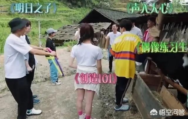 吴昕个人资料:为什么有些综艺节目是热度越来越高，可是在口碑上却越来越差了？