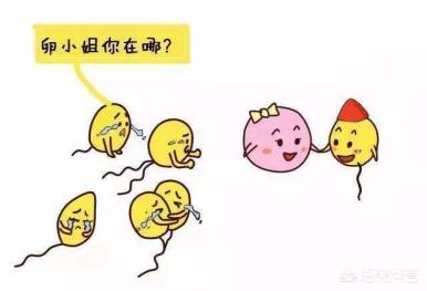 猫叫综合症:夫妻染色体正常，为什么胚胎染色体异常？