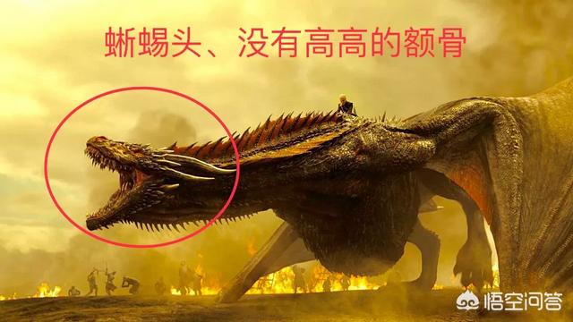 日本拍到龙，据说日本瑞龙寺珍藏有真龙的标本，只有3个爪子，到底是什么生物