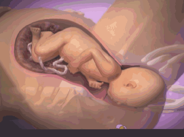 分娩时开十指是什么意思，自然分娩的三个产程，宝妈都了解吗