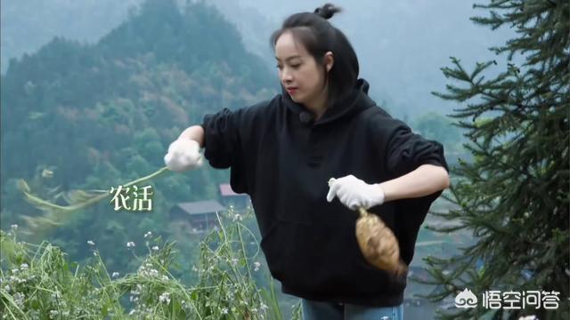 青春不败第一季:为何宋茜在《向往的生活》对农家生活的经验如此丰富？