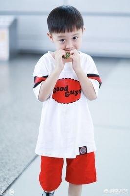 邓莎老公:邓莎的儿子是什么样的男孩？