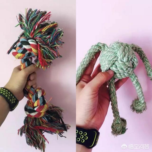 ro 宠物玩具:有没有哪些让柯基欲罢不能的玩具？