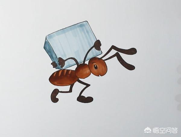 车内灭蚂蚁最有效的方法:灭蚂蚁最简单最有效的方法？