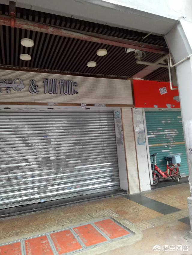 棉尾兔无圣光:全国各地的实体店现状怎么样？