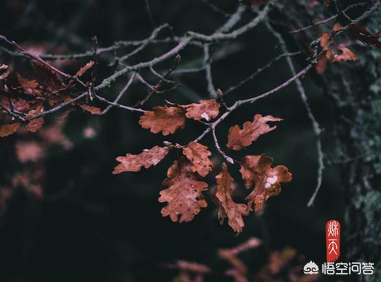请问朋友圈怎么设计才有个性