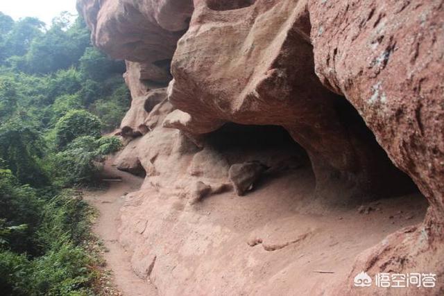 兰花火山石的作用:种兰花赤玉土好还是麦饭石好？