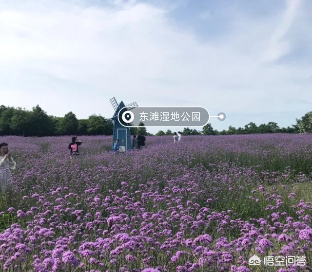 黄浦江源头:上海周边哪里有自带帐篷露营的地方