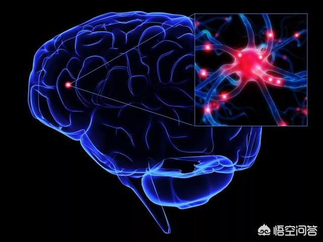 猫娘计划问题:面试财务主管时被问到“3-5年职业生涯规划”怎么回答？