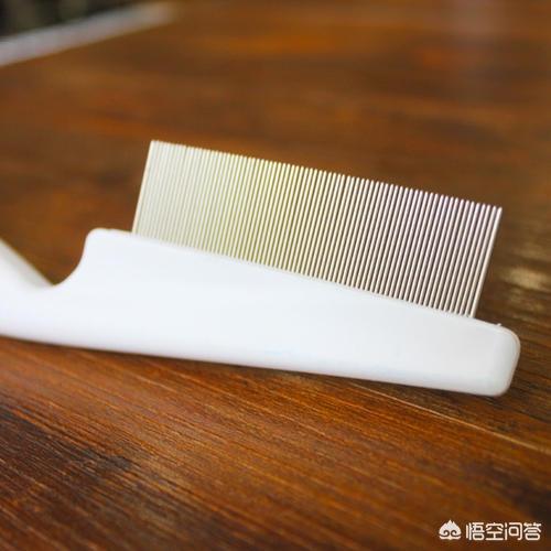 体内猫宠物医疗用品:哪种猫咪营养膏比较好呢？