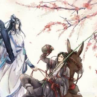 对于《魔道祖师》这种动漫,应该让小学生看吗？