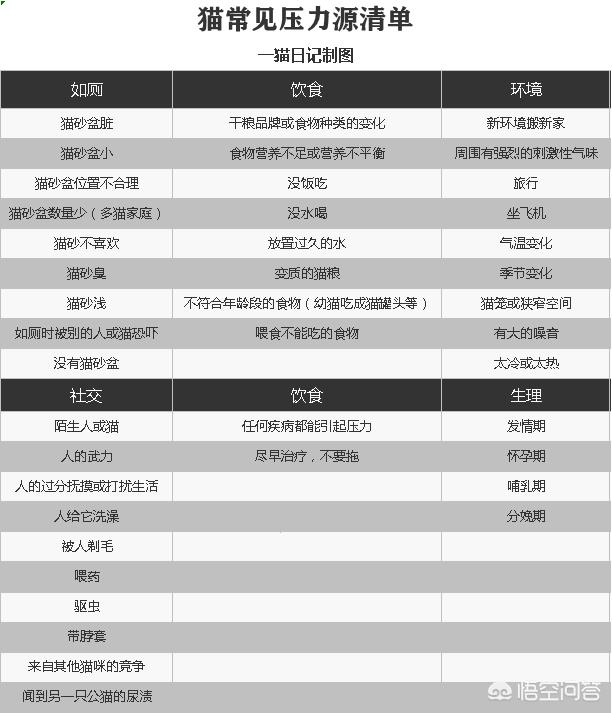 琴仙的小宠物饲养日记:辅导孩子作业时，哪件事（作文、数学应用题等）让你感觉最吃力？