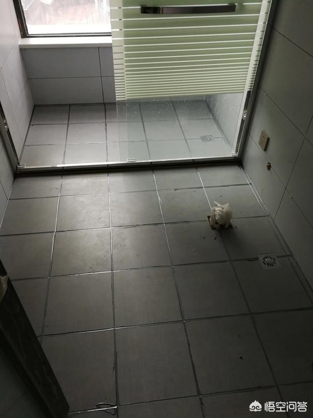 银斑龙猫配什么颜色最好:宝马530是黑色的好，还是白色或者开士米银好？
