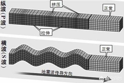 地震是怎么形成的:地震是怎样产生的怎样预防地震