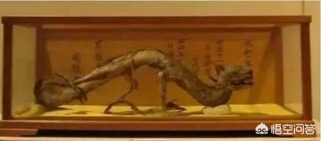 1934年营口坠龙:营口坠龙、松花江坠龙，为何历史上有那么多的坠龙事件？