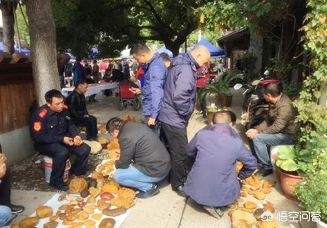 冰种石英石原石图片,蜡石与黄色的石英石有何区别？