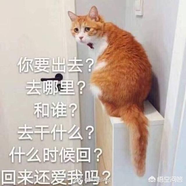 谈恋爱就像打<a href=https://maguai.com/list/48-0-0.html target=_blank class=infotextkey>游戏</a>，是吗为什么说它是<a href=https://maguai.com/list/48-0-0.html target=_blank class=infotextkey>游戏</a>