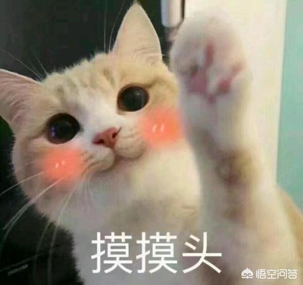 谈恋爱就像打<a href=https://maguai.com/list/48-0-0.html target=_blank class=infotextkey>游戏</a>，是吗为什么说它是<a href=https://maguai.com/list/48-0-0.html target=_blank class=infotextkey>游戏</a>